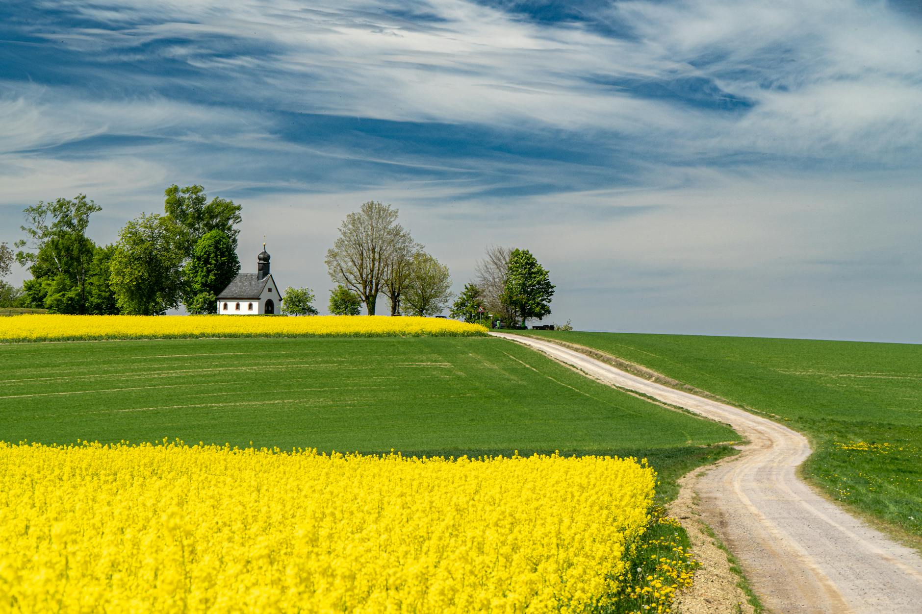 Wiosenna kapliczka przy polu żółtego rzepaku pod błękitnym niebem