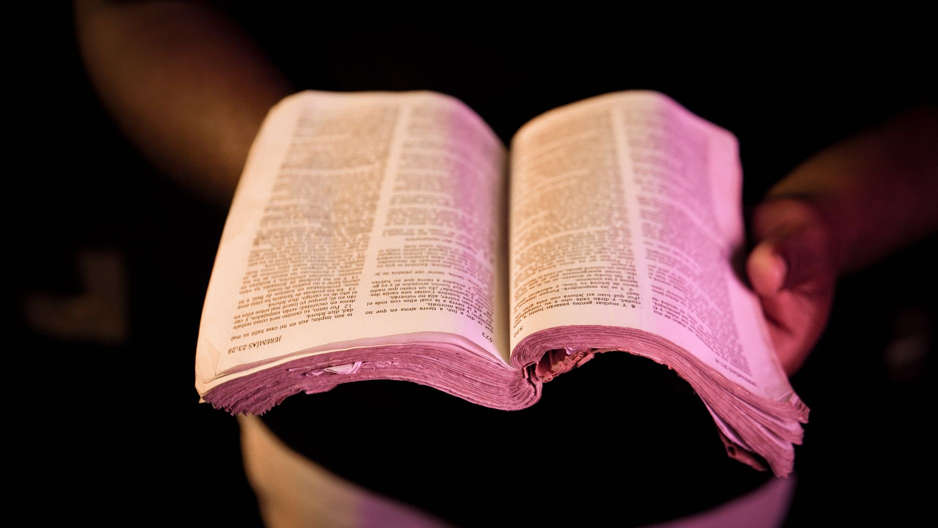 Otwartą Biblia w dłoniach lektora w skupieniu